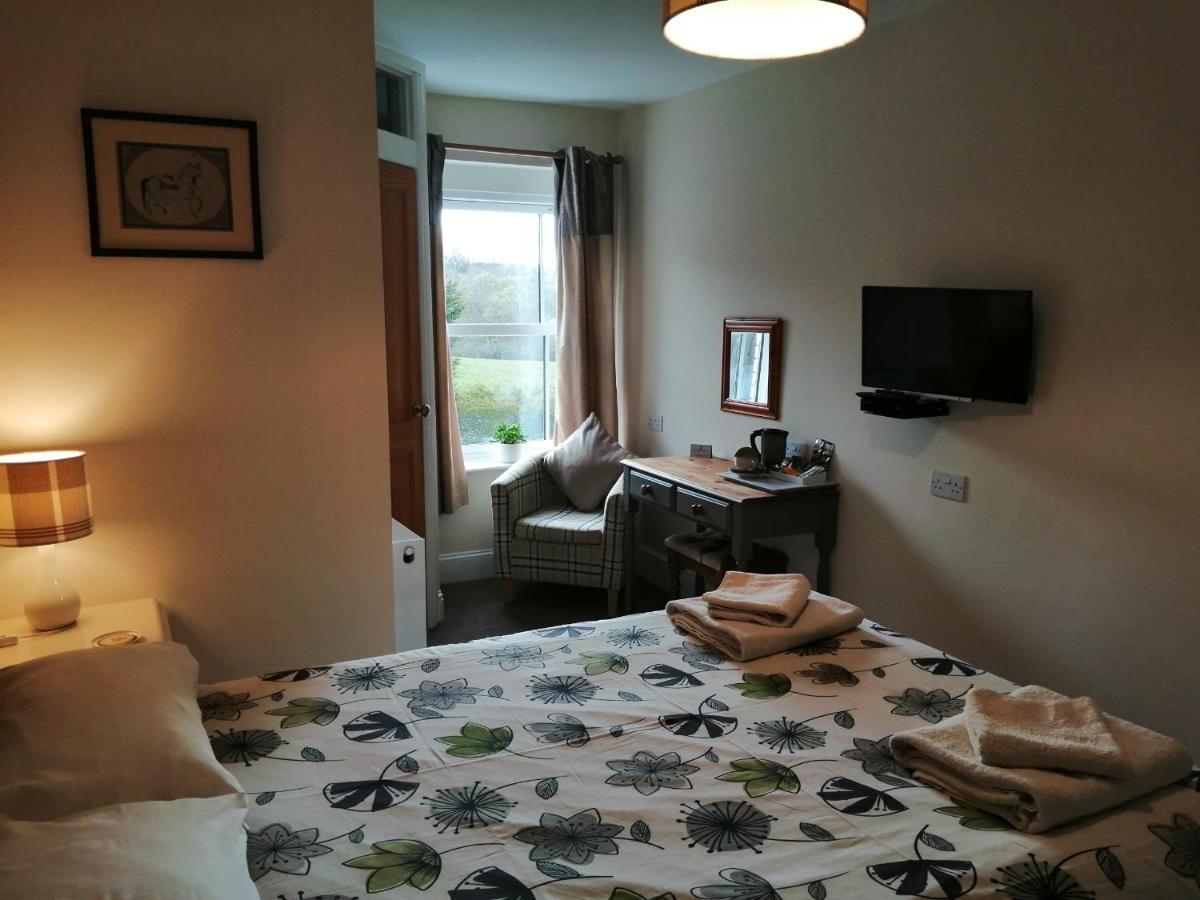 Llanbister Lion Hotel מראה חיצוני תמונה